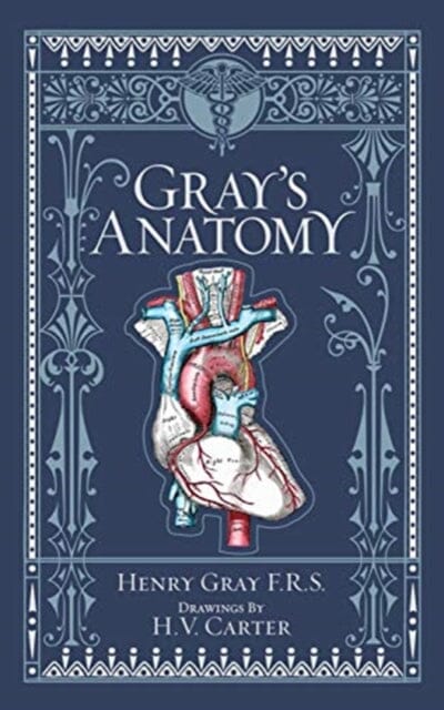 Gray's Anatomy (Barnes & Noble Collectible Editions) by Henry Gray - skihosevxGray's Anatomy (Barnes & Noble Collectible Editions) by Henry GrayExtended RangeSterling Juvenileskihosevx9781435167919Extended Range