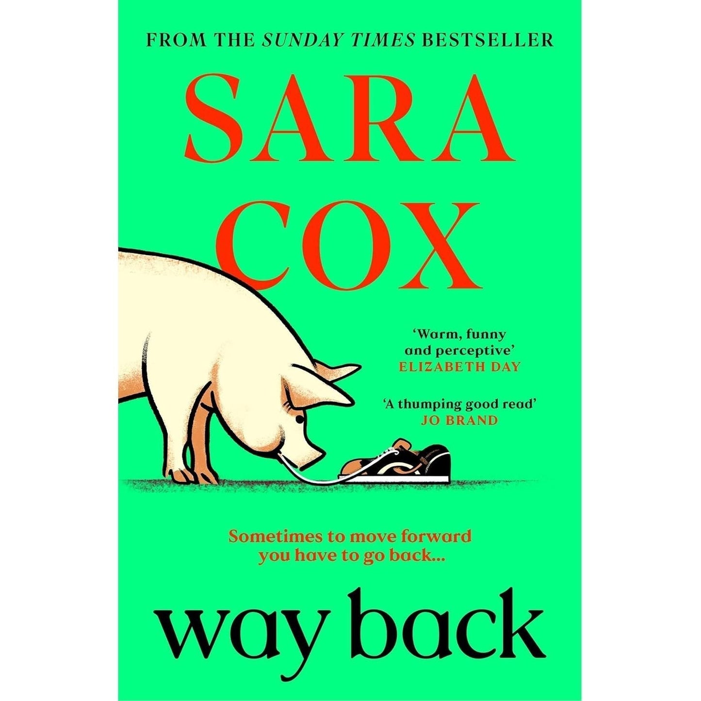 Sara Cox 3 Books Colection Set (Till the Cows Come Home, Way Back, Thrown) - skihosevxSara Cox 3 Books Colection Set (Till the Cows Come Home, Way Back, Thrown)CoronetskihosevxskihosevxVRT26884Coronet