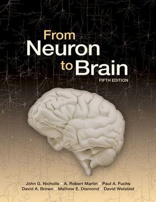 skihosevx: From Neuron To Brain 5th Edition - skihosevxskihosevx: From Neuron To Brain 5th EditionE-booksskihosevxskihosevxBSL-V2-8667E-books