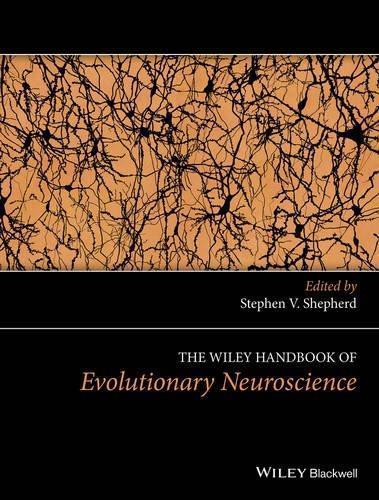 skihosevx: The Wiley Handbook Of Evolutionary Neuroscience - skihosevxskihosevx: The Wiley Handbook Of Evolutionary NeuroscienceE-booksskihosevxskihosevxBSL-V2-8511E-books